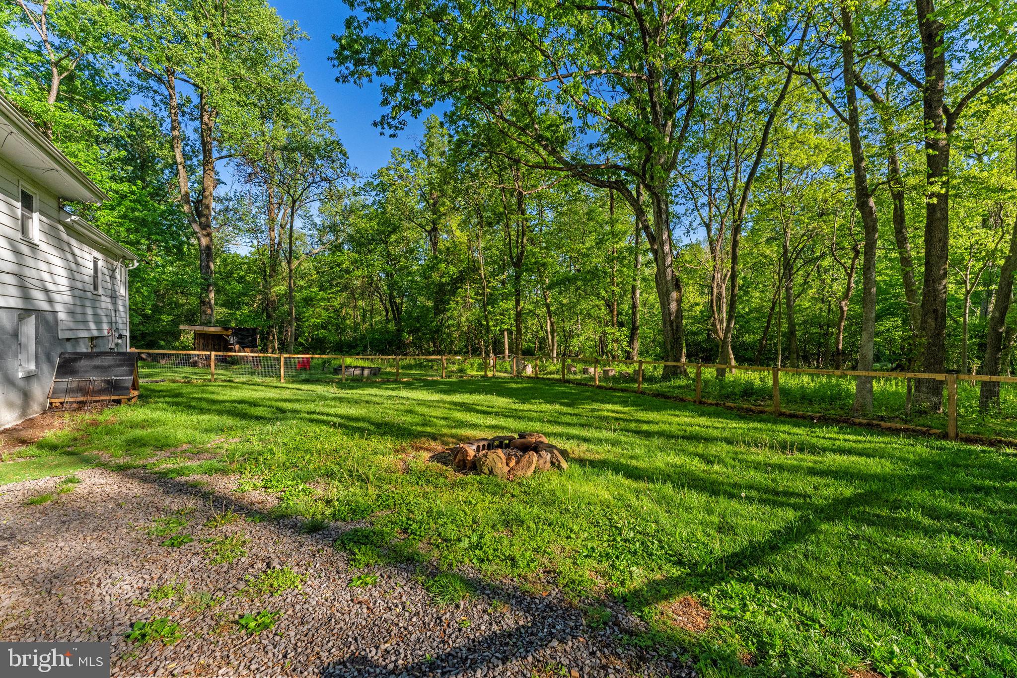 673 Creek Road Front Royal, VA 22630 - Photo 63 of 64 Serene backyard oasis in lush greenery.