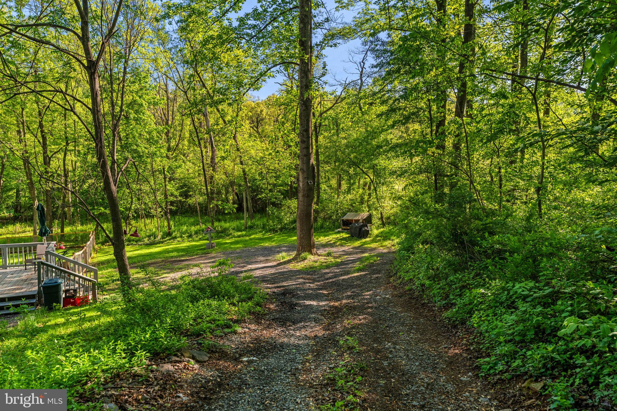 673 Creek Road Front Royal, VA 22630 - Photo 64 of 64 Serene woodland path beckons adventure.