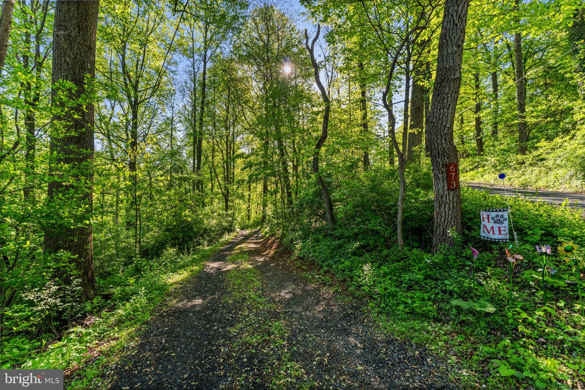 673 Creek Road Front Royal, VA 22630 - Photo 9 of 64 Serene woodland path beckons adventure.