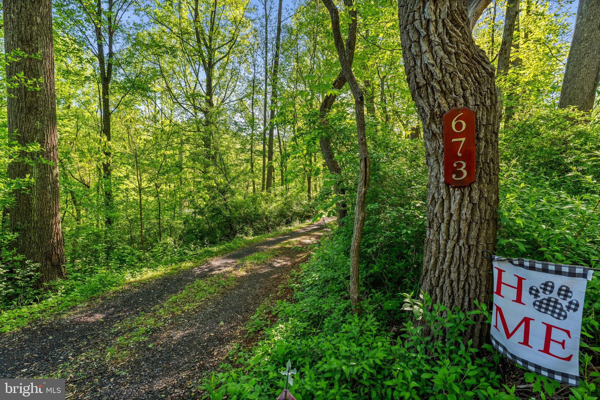 673 Creek Road Front Royal, VA 22630 - Photo 10 of 64 Serene woodland retreat awaits you.