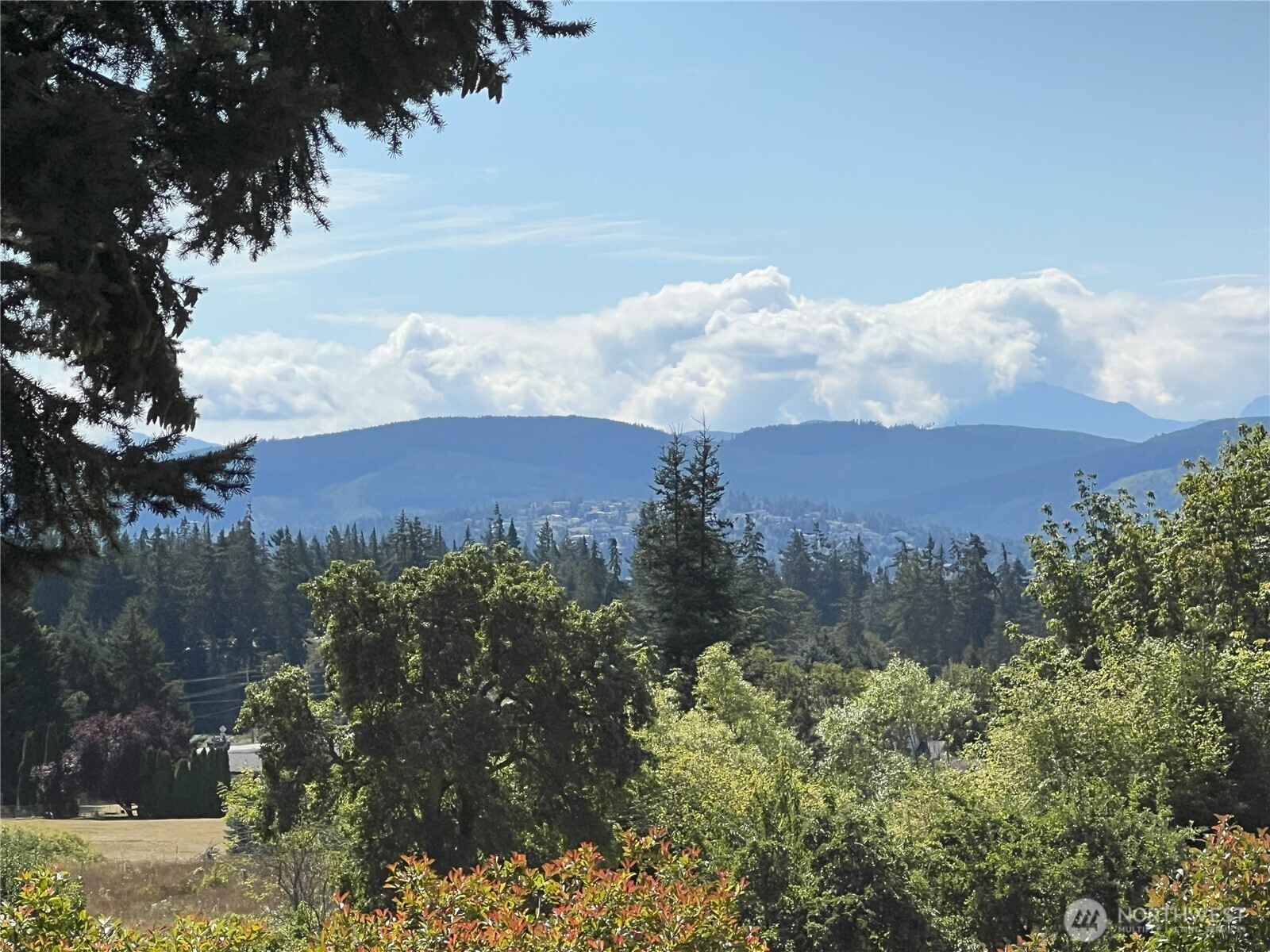 85 Olympic Vista Sequim, WA 98382 - Photo 10 of 40