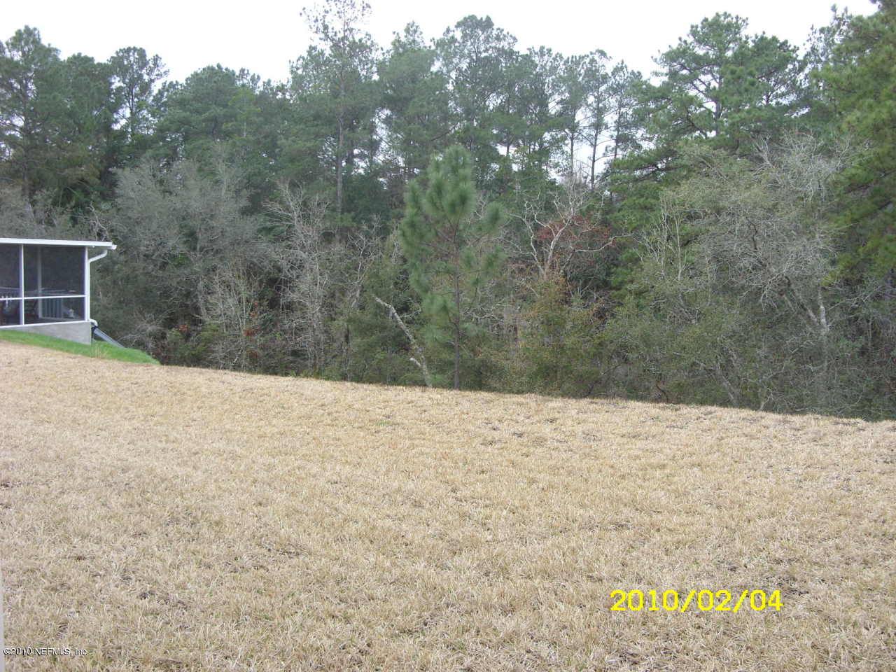 2962 Ravine Hill Drive Middleburg, FL 32068 - Photo 3 of 7 a view of a yard with trees