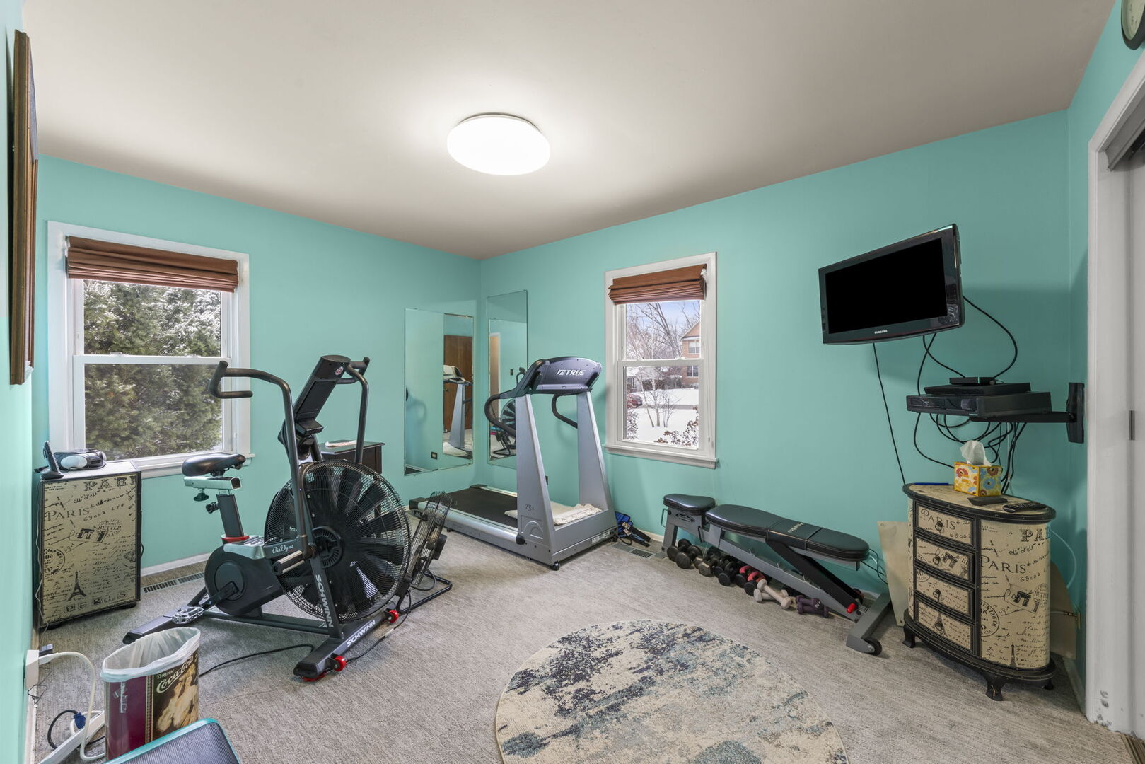 722 Countryside Drive Wheaton, IL 60187 - Photo 13 of 24