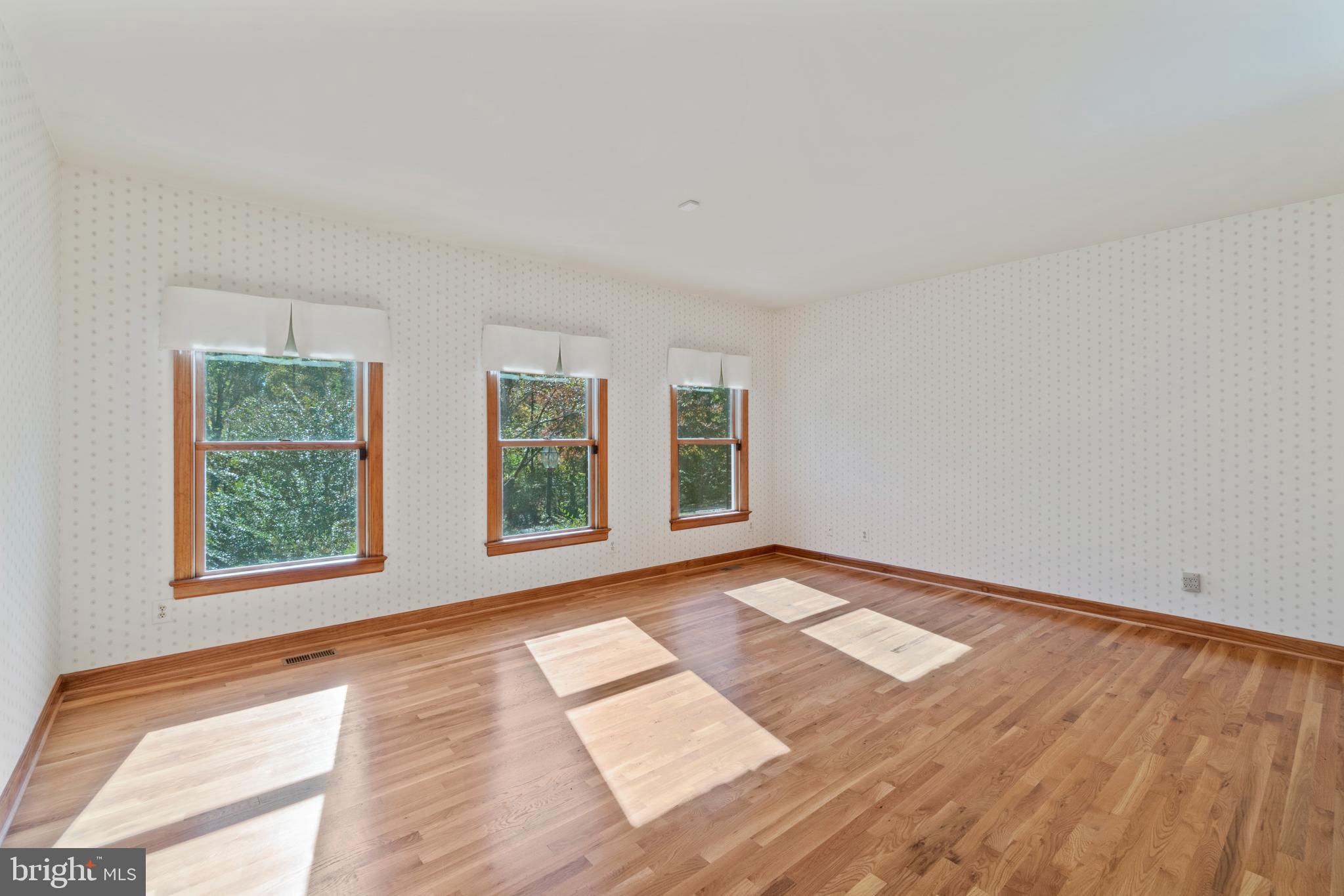 7815 Shannon Hill Road Louisa, VA 23093 - Photo 18 of 63 main floor primary bedroom
