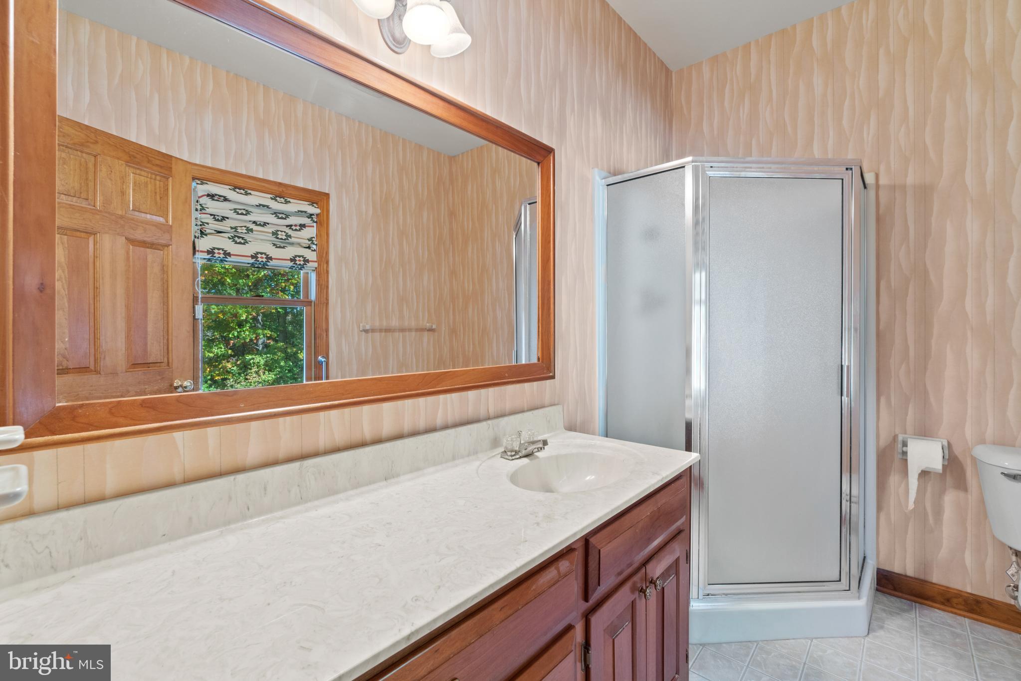 7815 Shannon Hill Road Louisa, VA 23093 - Photo 21 of 63 second bathroom in main floor primary bedroom