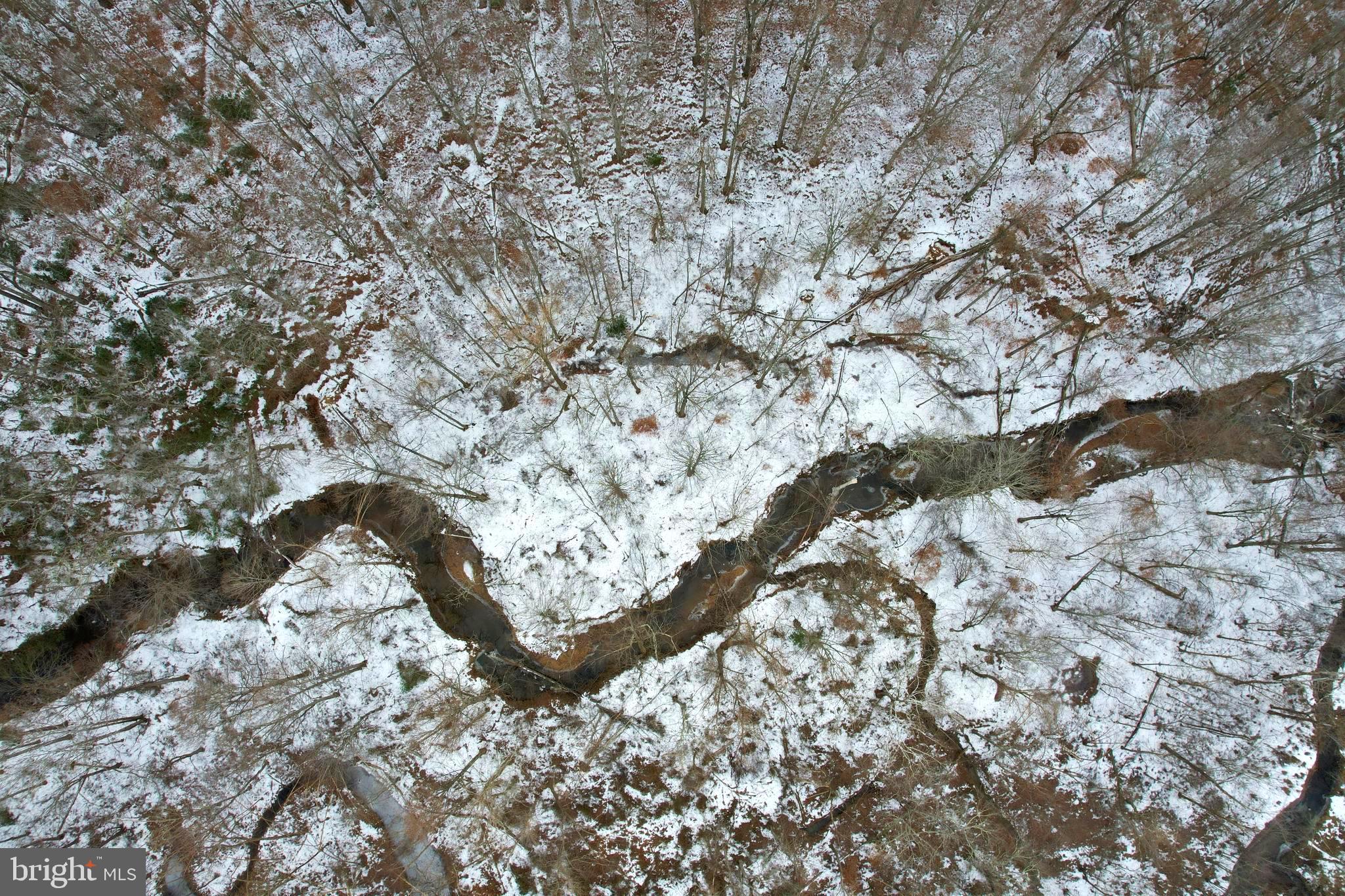 7815 Shannon Hill Road Louisa, VA 23093 - Photo 4 of 63 Fork Creek bordering property