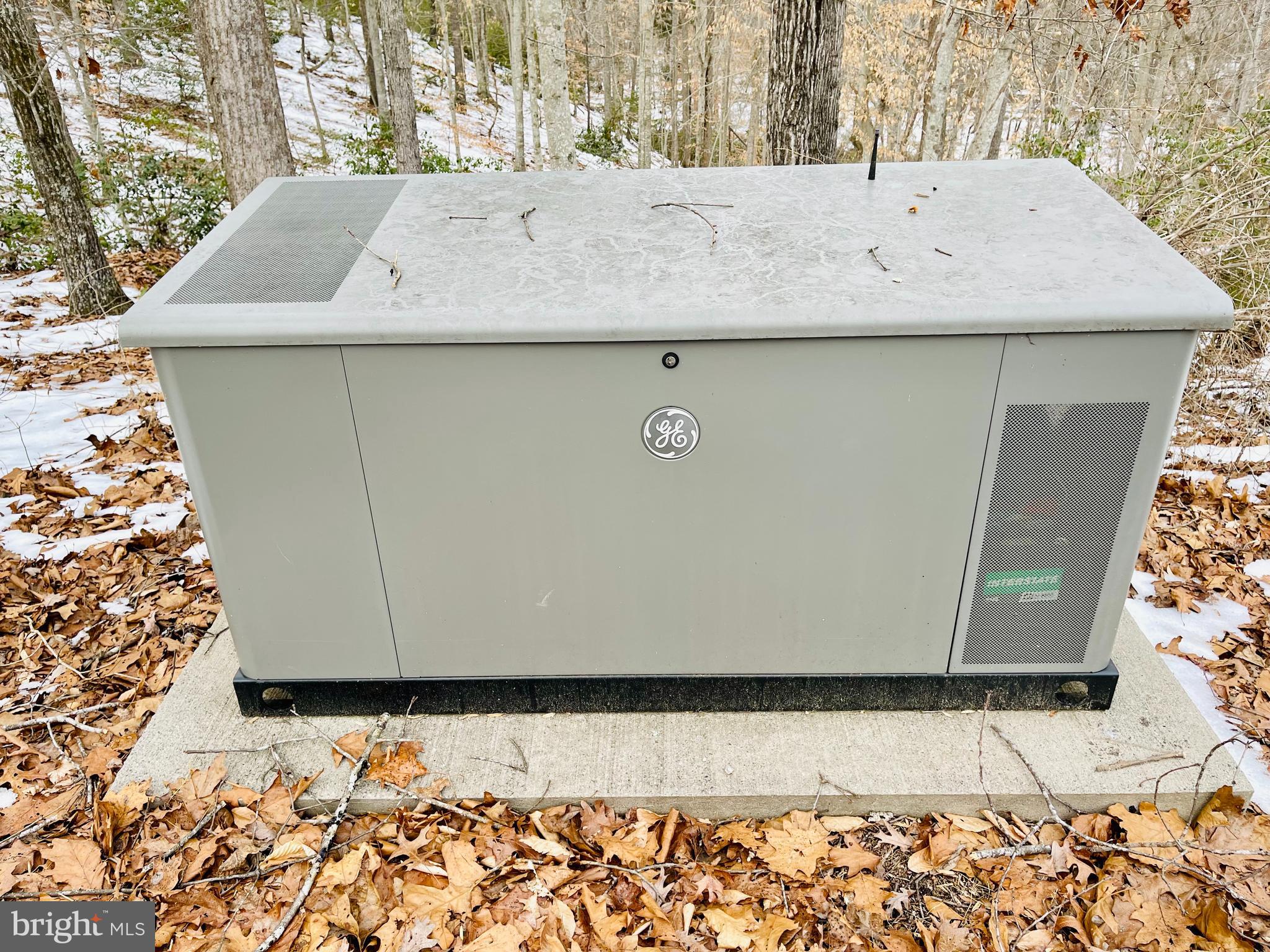 7815 Shannon Hill Road Louisa, VA 23093 - Photo 49 of 63 Whole house generator