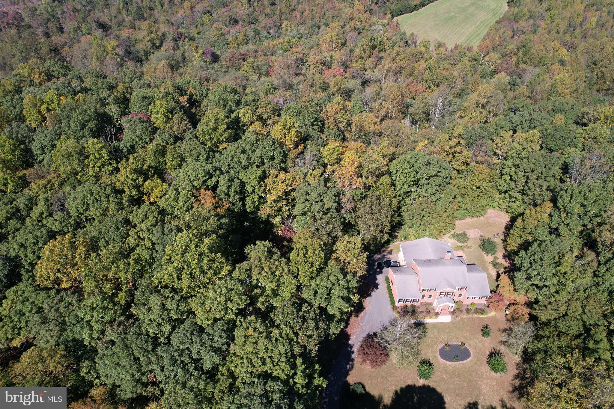 7815 Shannon Hill Road Louisa, VA 23093 - Photo 53 of 63
