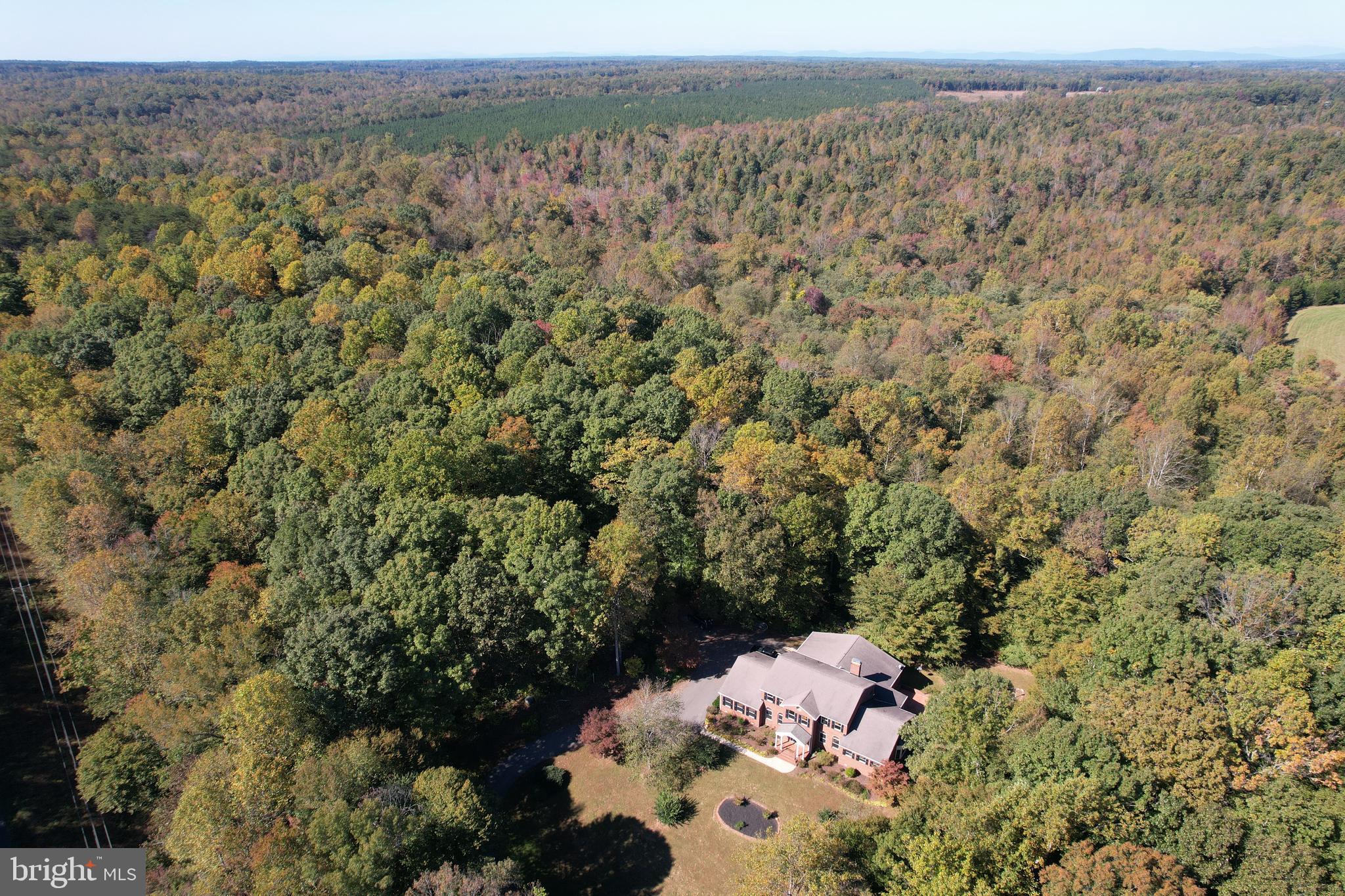 7815 Shannon Hill Road Louisa, VA 23093 - Photo 54 of 63 fall time