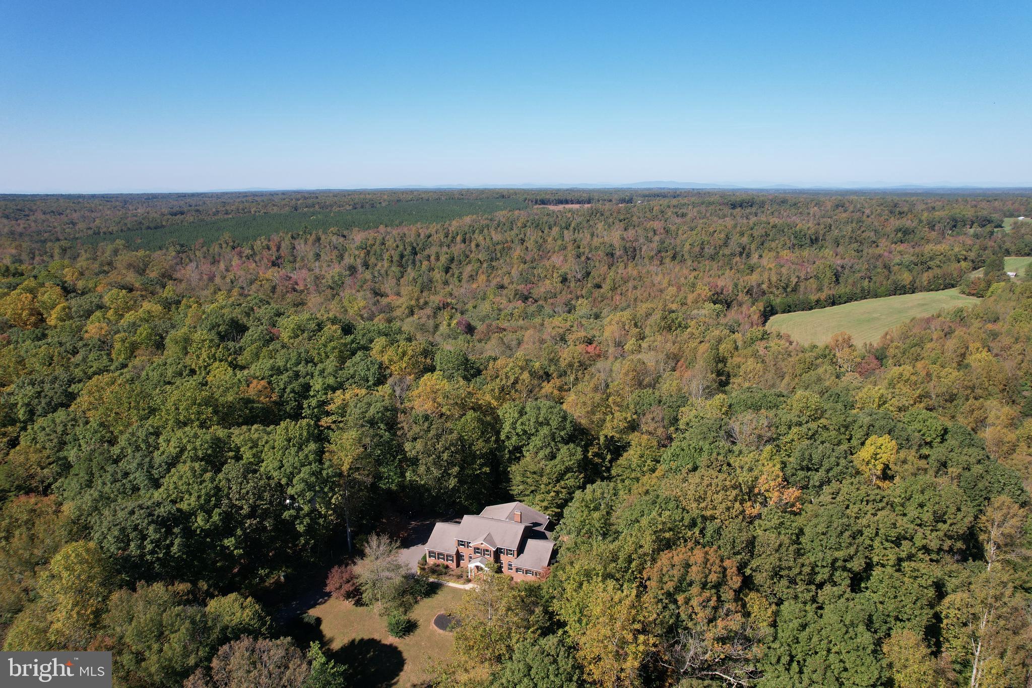 7815 Shannon Hill Road Louisa, VA 23093 - Photo 55 of 63 privacy and seclusion