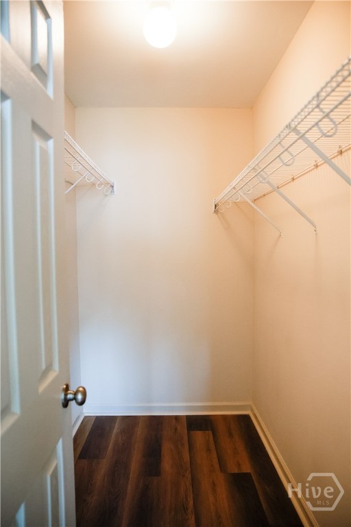 630 Rushing Street Richmond Hill, GA 31324 - Photo 12 of 23 Primary Closet
