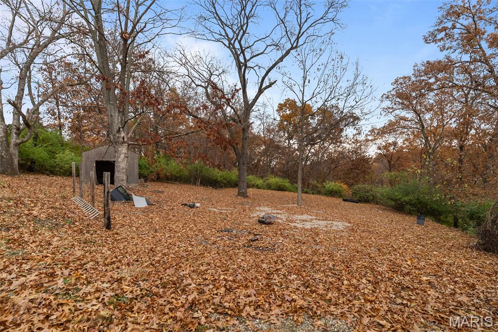 2108 Hillsboro Valley Park Road High Ridge, MO 63049 - Photo 8 of 53