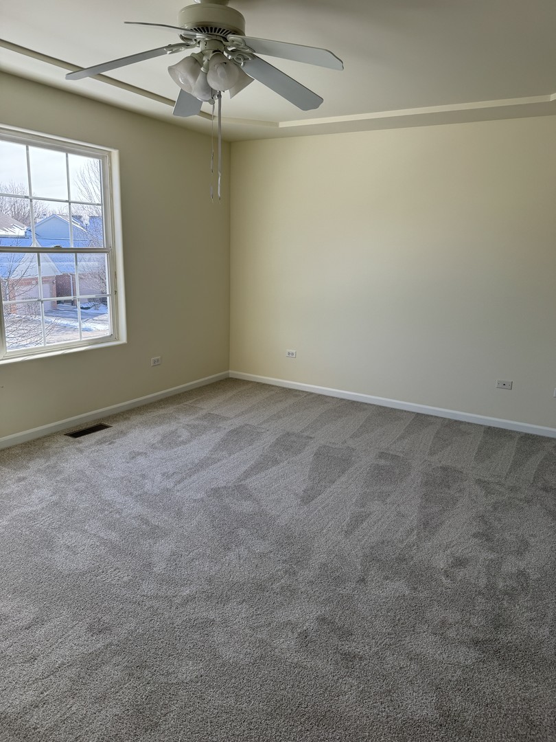 505 Goodwin Drive Bolingbrook, IL 60440 - Photo 15 of 29