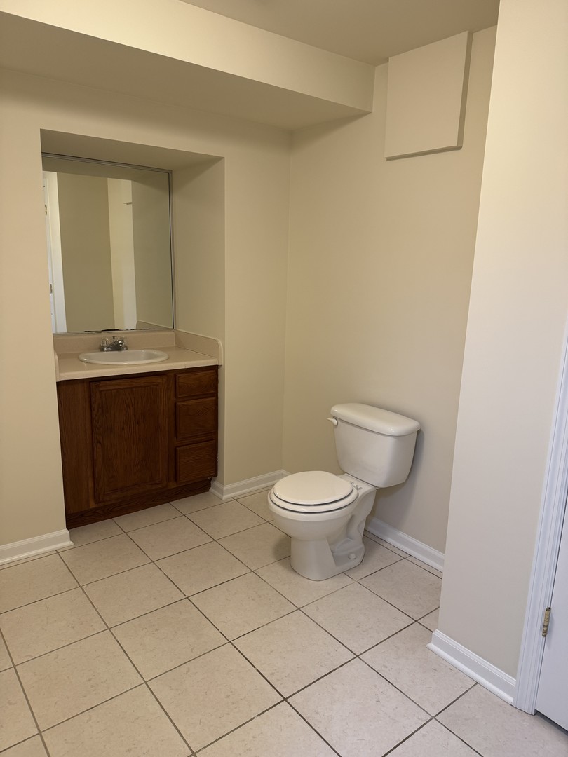 505 Goodwin Drive Bolingbrook, IL 60440 - Photo 17 of 29