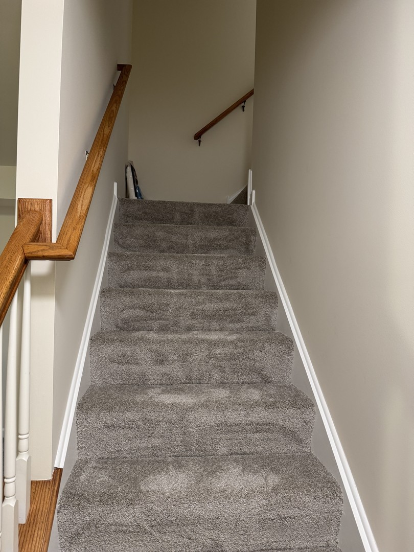 505 Goodwin Drive Bolingbrook, IL 60440 - Photo 21 of 29