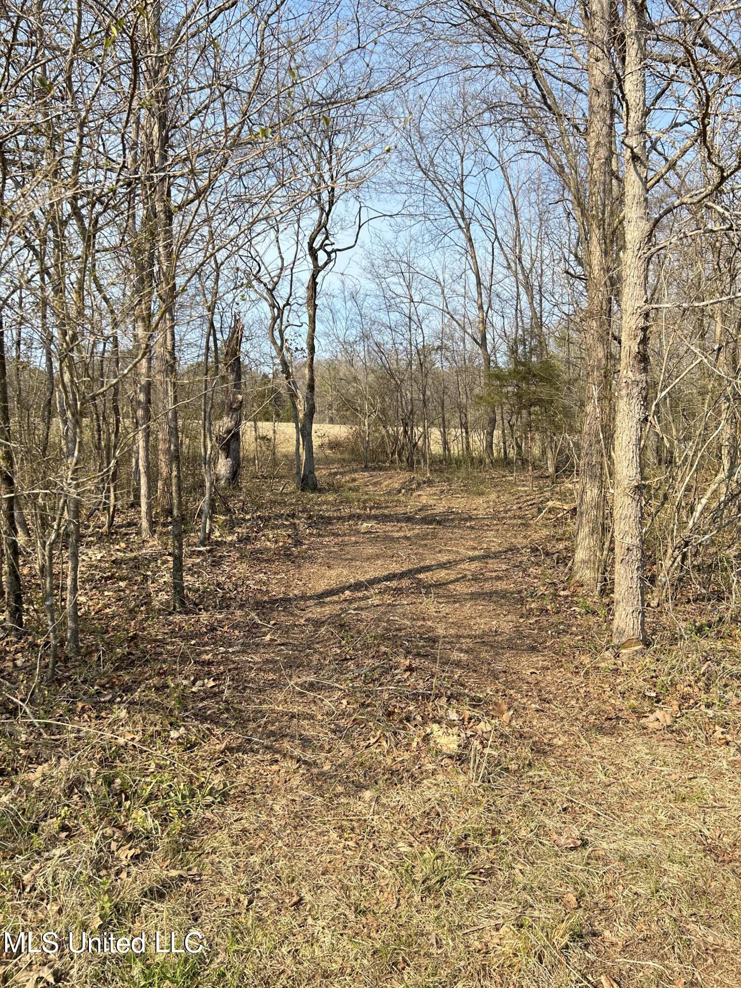 Country Club Road Senatobia, MS 38668 - Photo 5 of 22 IMG_8853