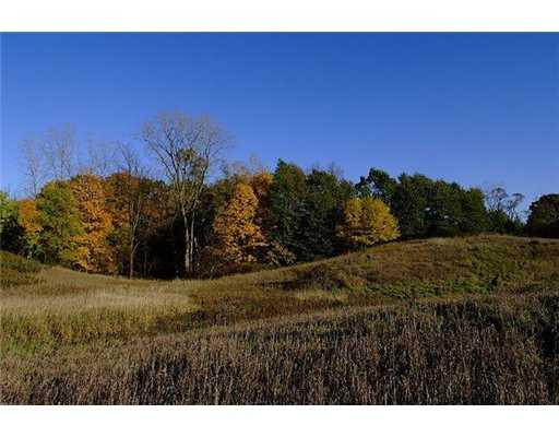 6700 Hashley Road Manchester, MI 48158 - Photo 3 of 10 Photo 3