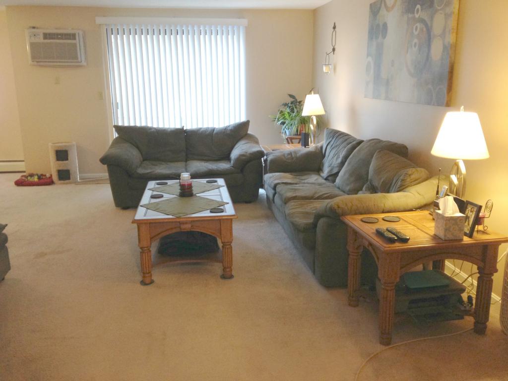 223 Indian Rock Road, Unit 223 Merrimack, NH 03054 - Photo 9 of 23 Gallery Image 9