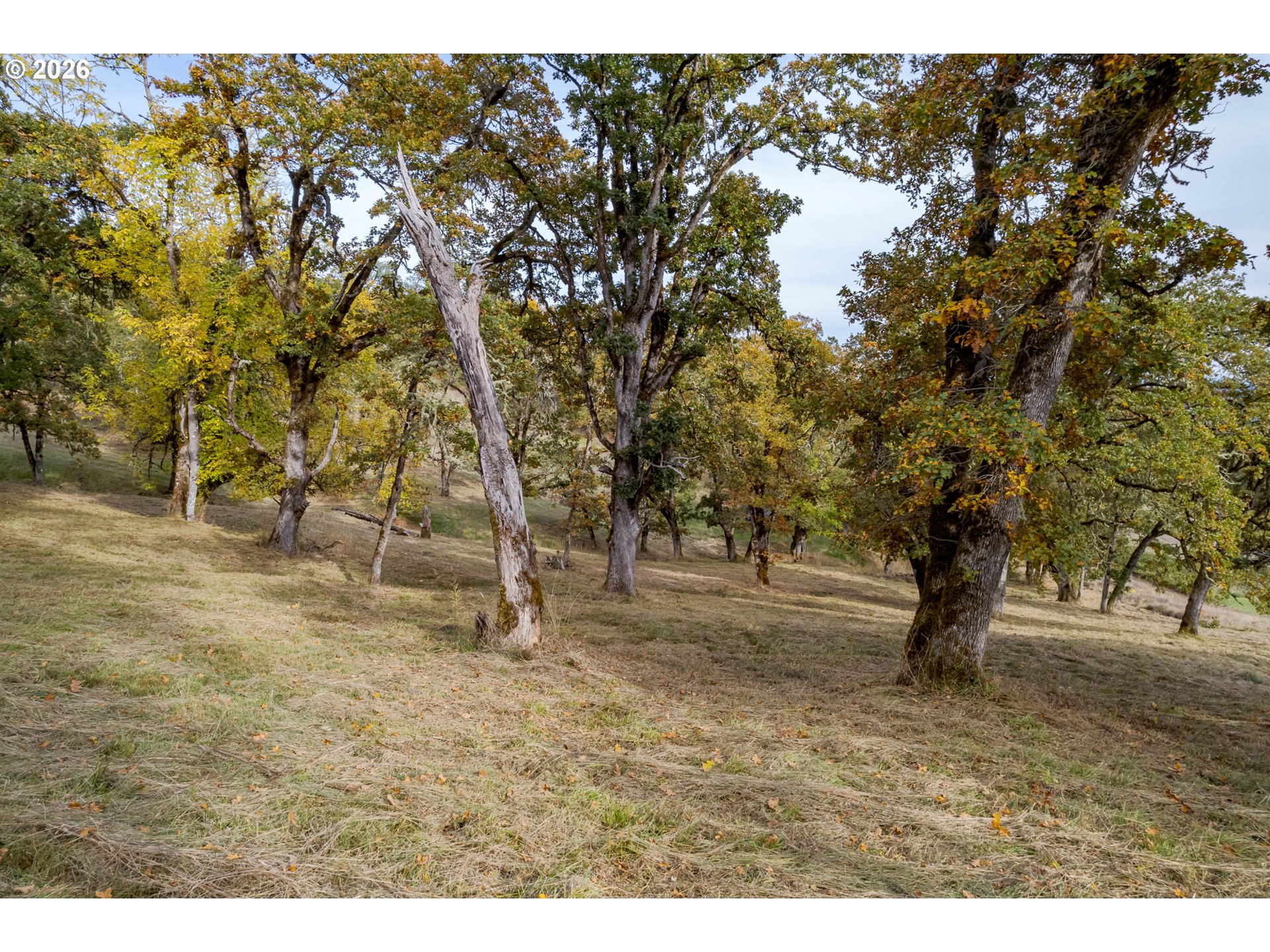 Hidden Meadows Eugene, OR 97405 - Photo 12 of 24