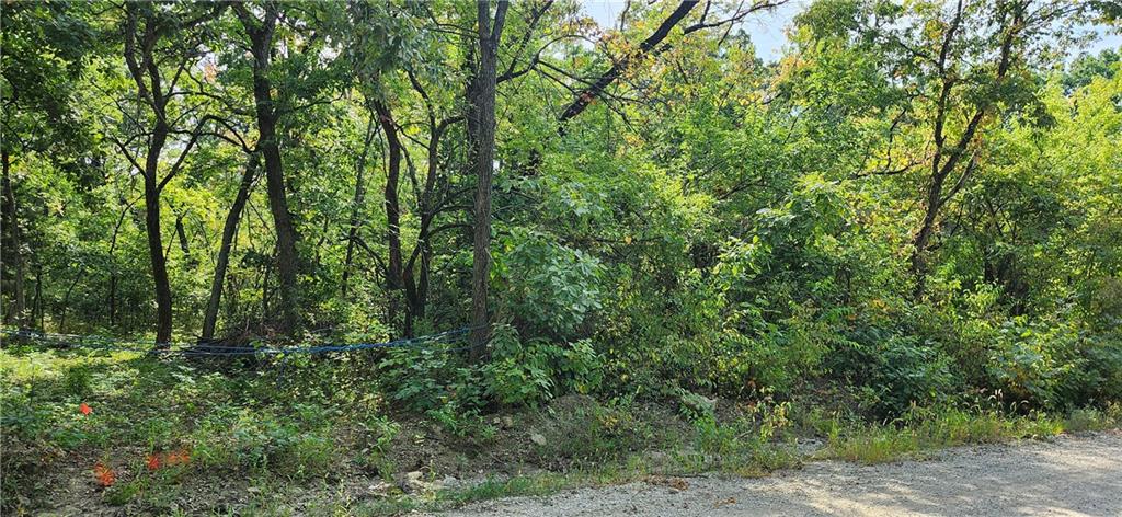 7514 Springcove Road Lacygne, KS 66040 - Photo 2 of 6