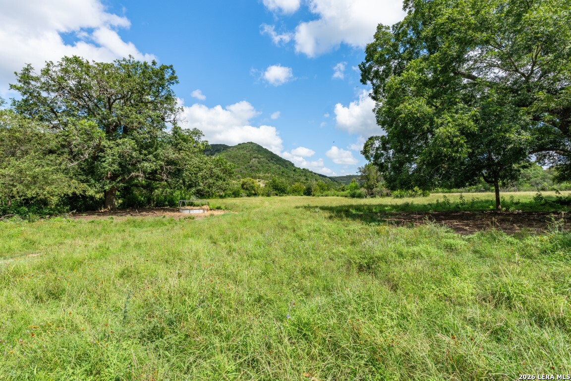 5013 North Little Creek Road Utopia, TX 78884 - Photo 20 of 39 a view of a grassy field with trees