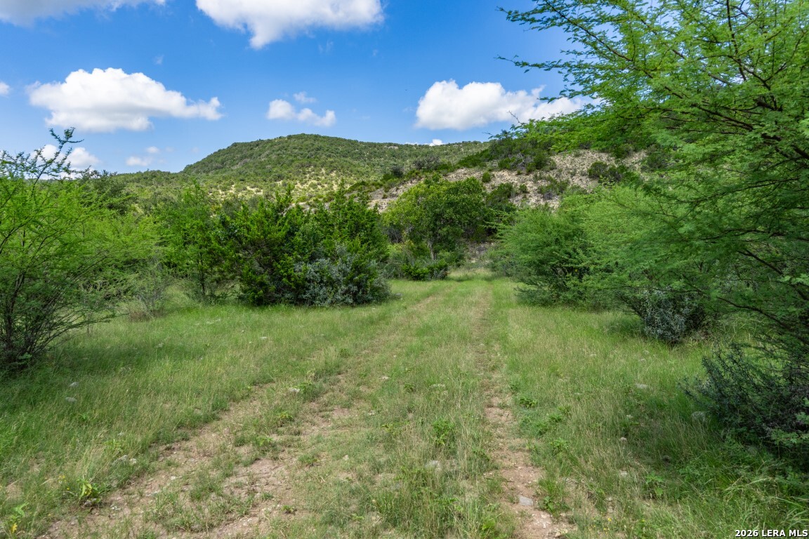 5013 North Little Creek Road Utopia, TX 78884 - Photo 2 of 39 a view of a green yard