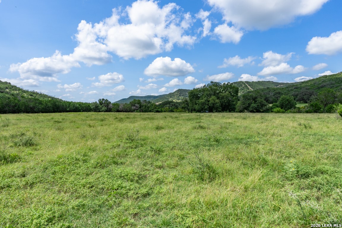 5013 North Little Creek Road Utopia, TX 78884 - Photo 24 of 39 a view of a big yard with lots of trees