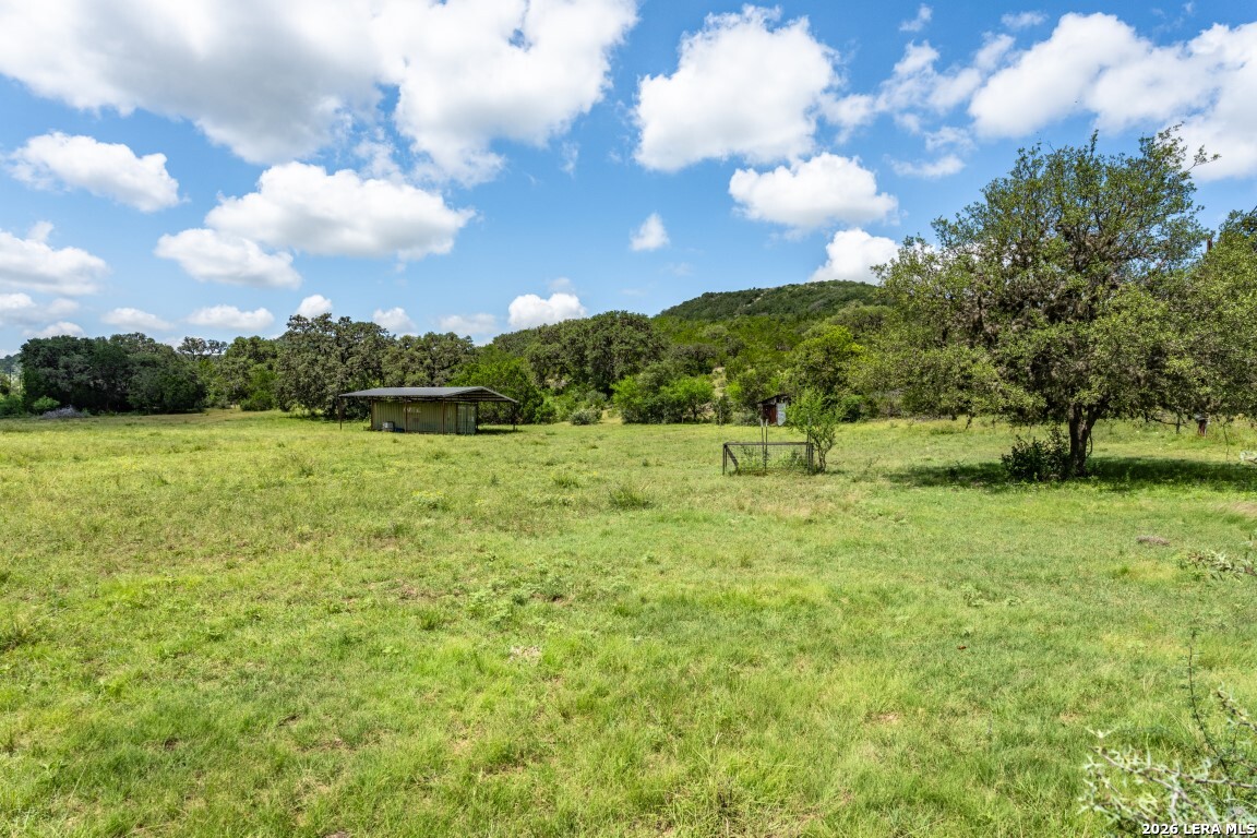 5013 North Little Creek Road Utopia, TX 78884 - Photo 29 of 39 a view of a green field with trees in the background