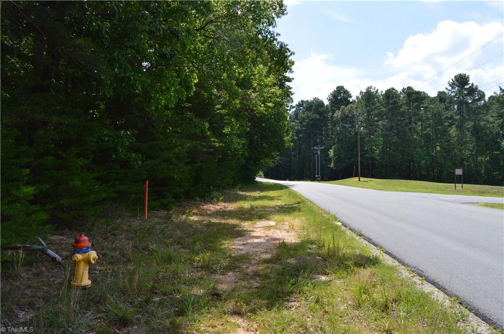 2122 Cherokee Camp Road Reidsville, NC 27320 - Photo 3 of 21 Gallery Image 3