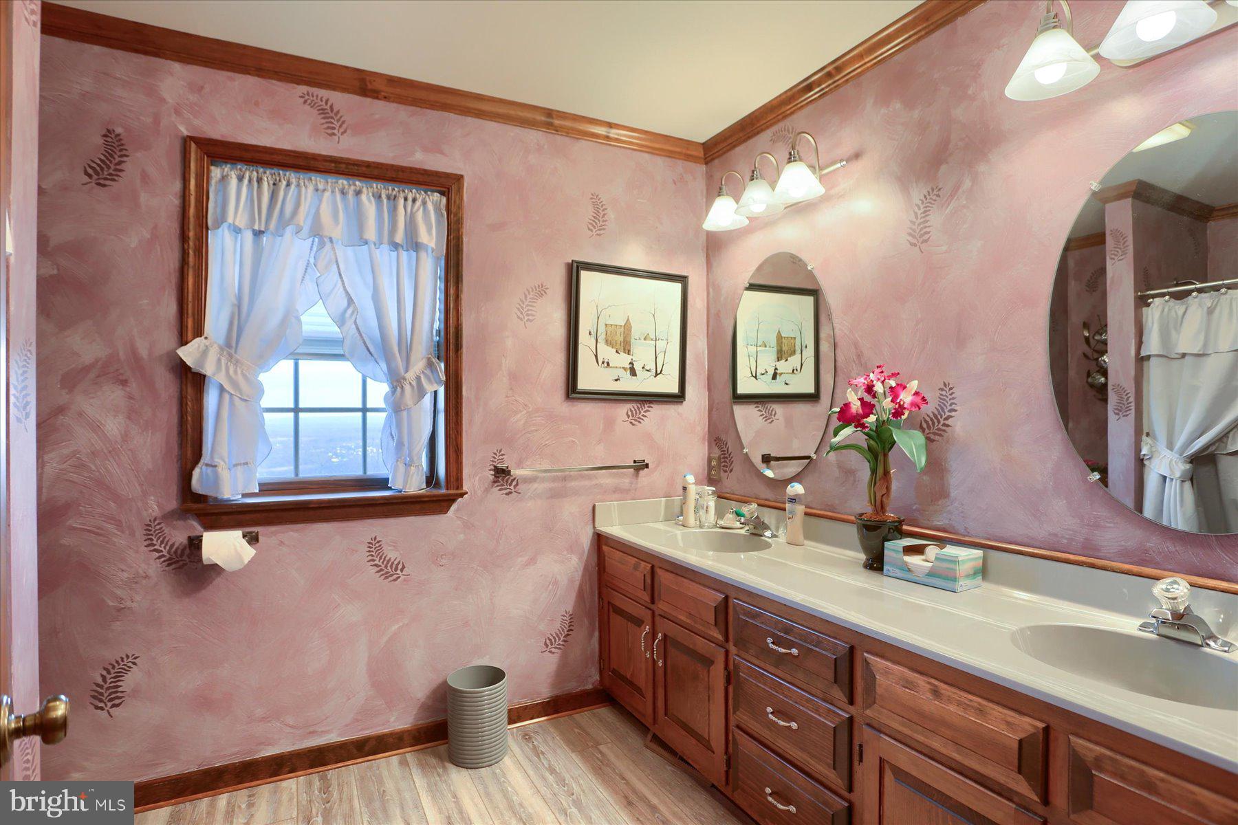 1065 Kuhn Road Boiling Springs, PA 17007 - Photo 29 of 49 a bathroom with a double vanity sink and a mirror