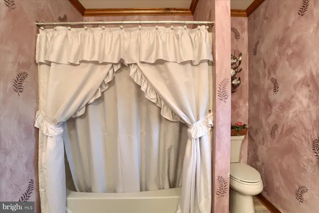 a bathroom with a shower curtain and a toilet