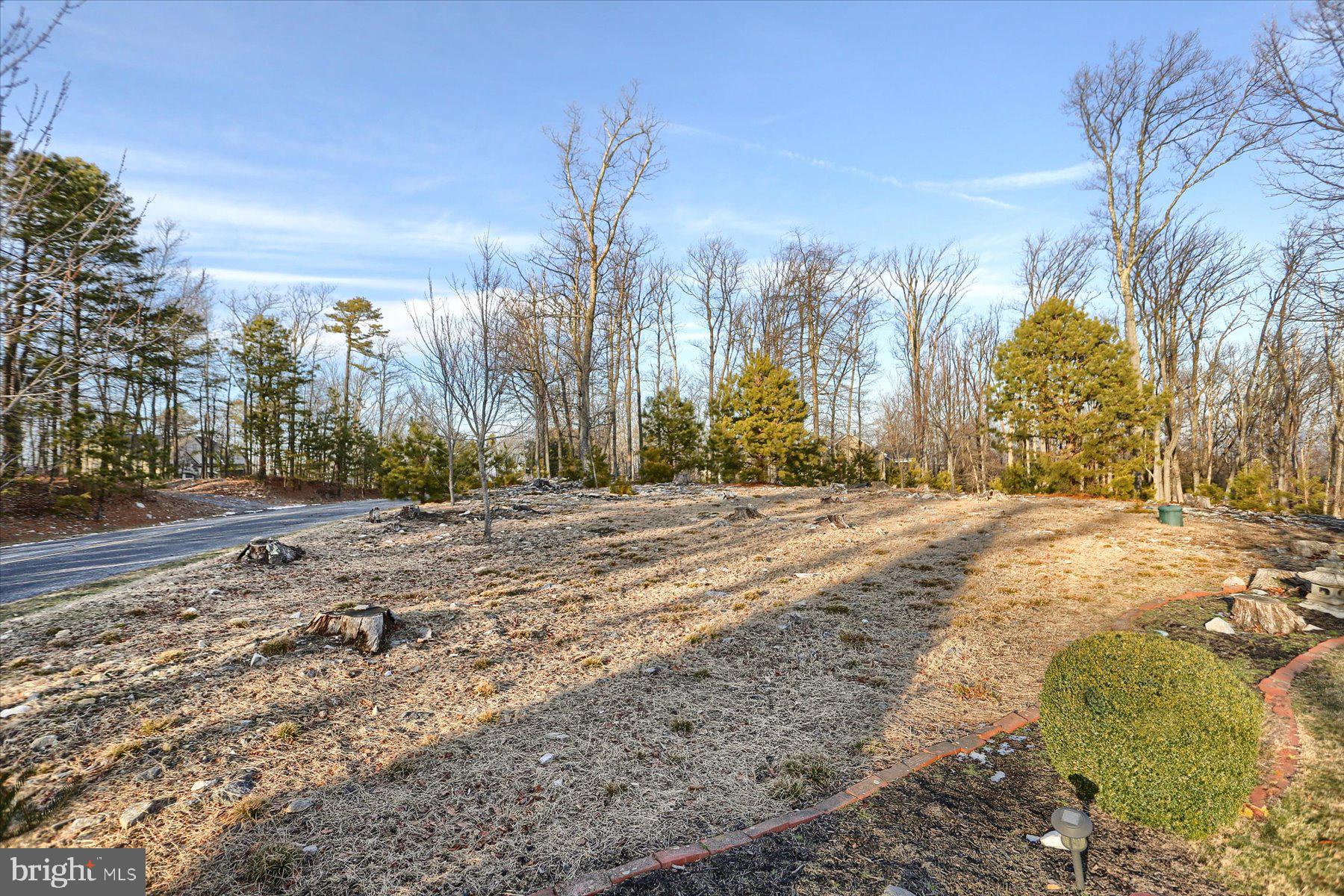 1065 Kuhn Road Boiling Springs, PA 17007 - Photo 38 of 49 a view of road and trees