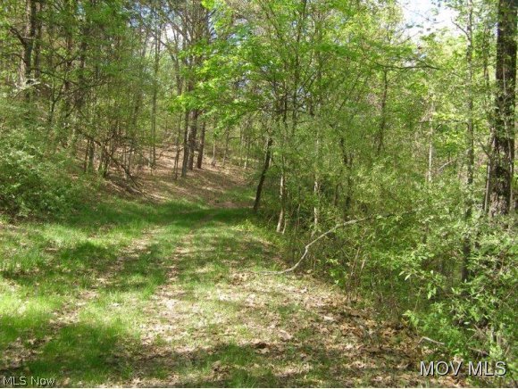 0 Oil Ridge Road Harrisville, WV 26362 - Photo 4 of 8