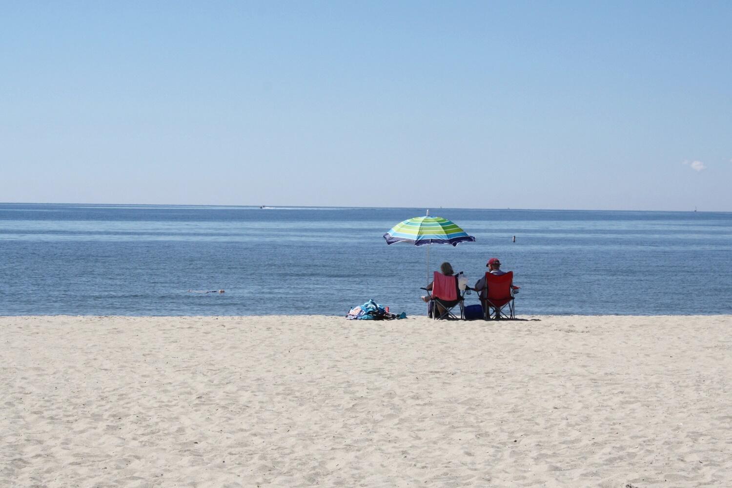 12 Squanto Drive Chatham, MA 02633 - Photo 41 of 41 Don't miss out!