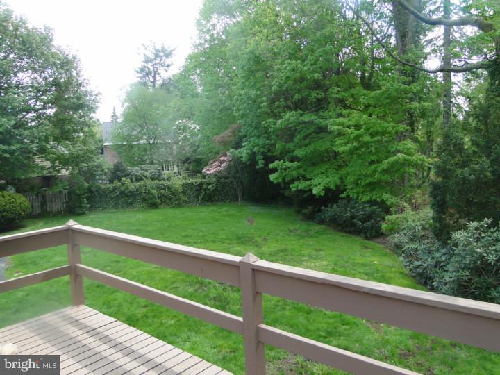 4 Cushman Road Rosemont, PA 19010 - Photo 15 of 15 Back Yard