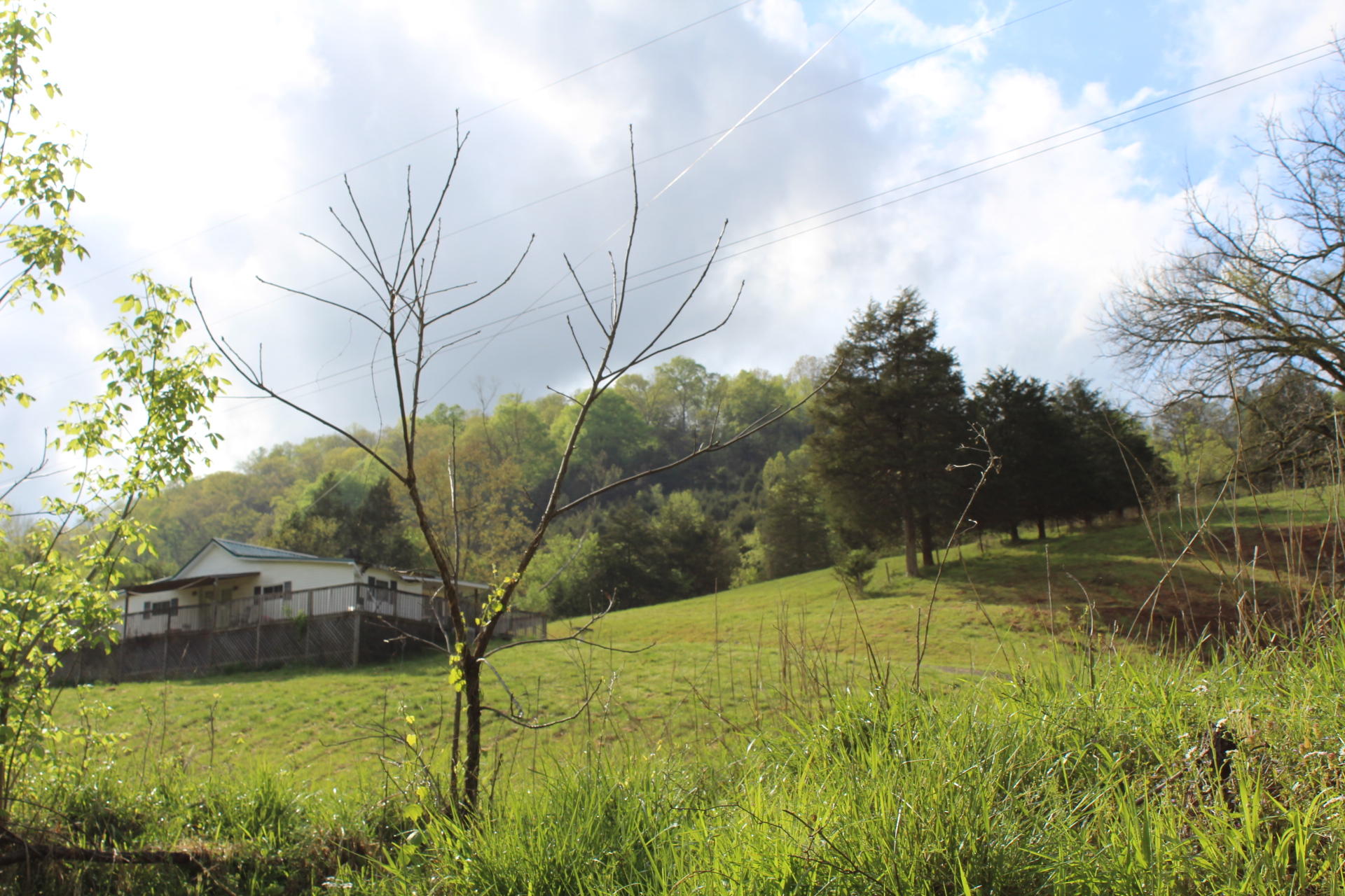 268 Gulley River Road Harrogate, TN 37752 - Photo 2 of 21 View from Road