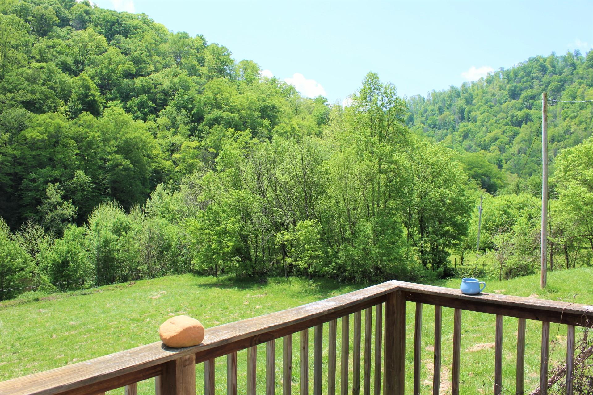 268 Gulley River Road Harrogate, TN 37752 - Photo 14 of 21 IMG_1096
