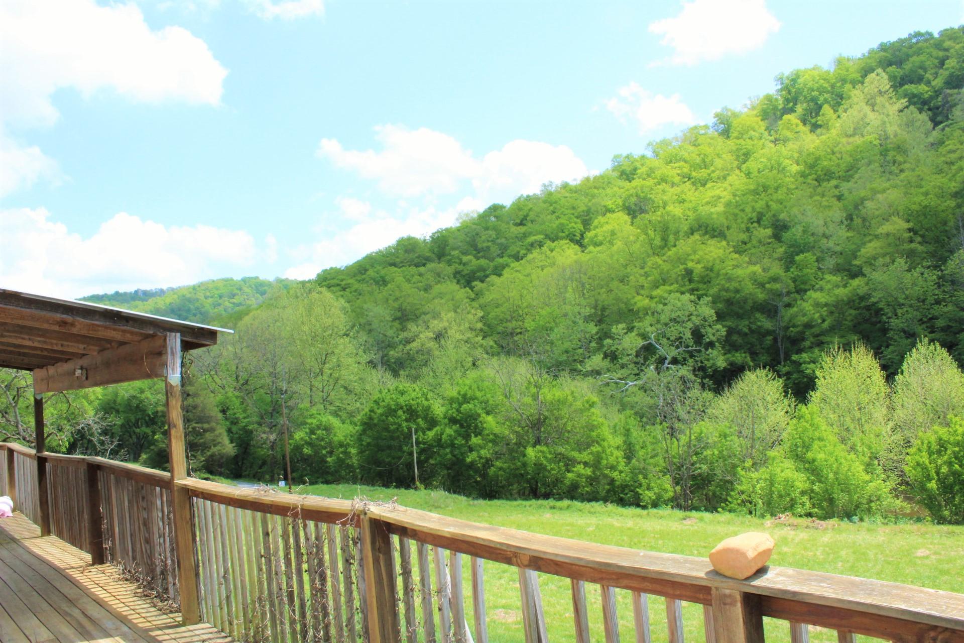 268 Gulley River Road Harrogate, TN 37752 - Photo 15 of 21 IMG_1095