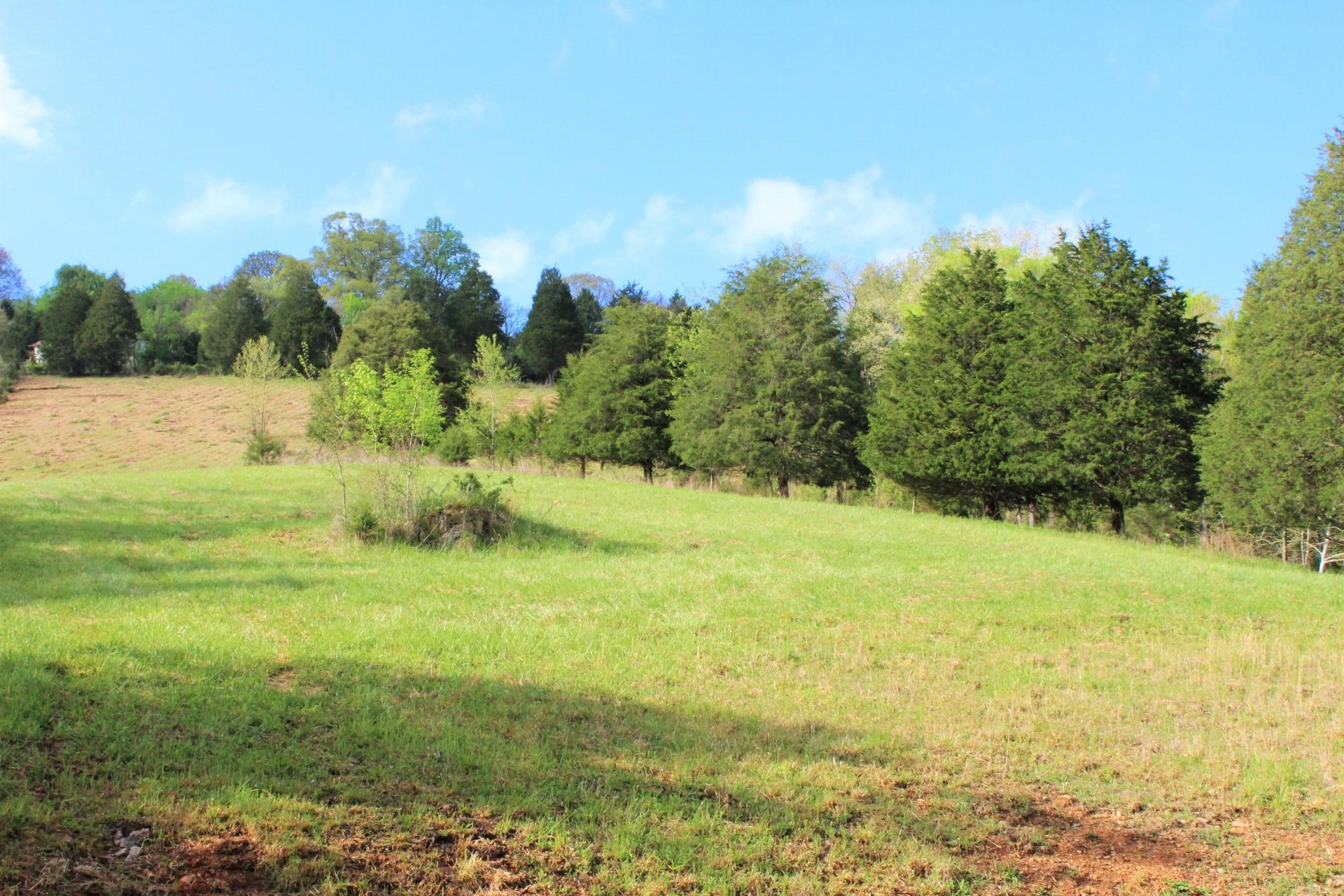 268 Gulley River Road Harrogate, TN 37752 - Photo 17 of 21 Pasture Land