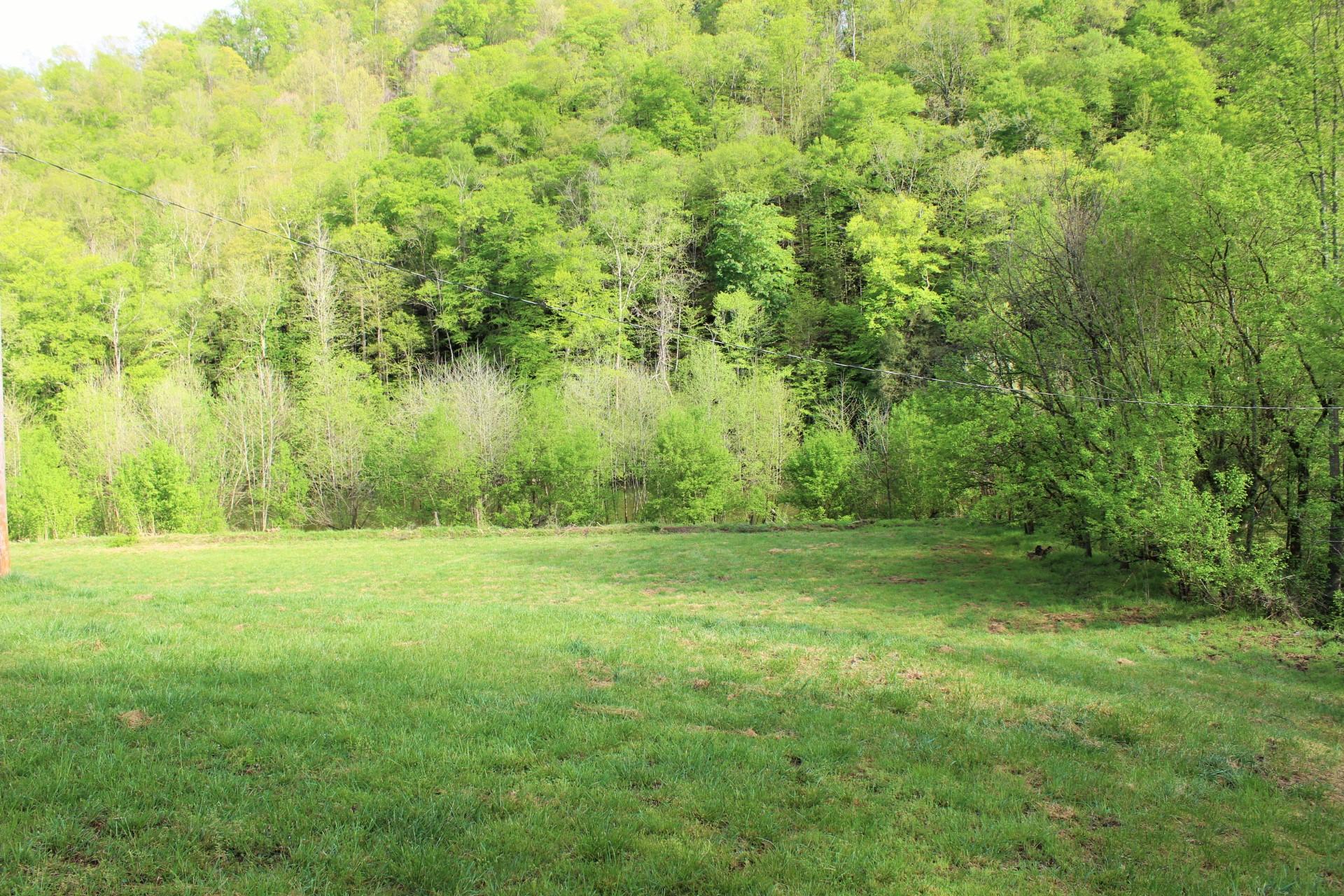 268 Gulley River Road Harrogate, TN 37752 - Photo 18 of 21 IMG_1031