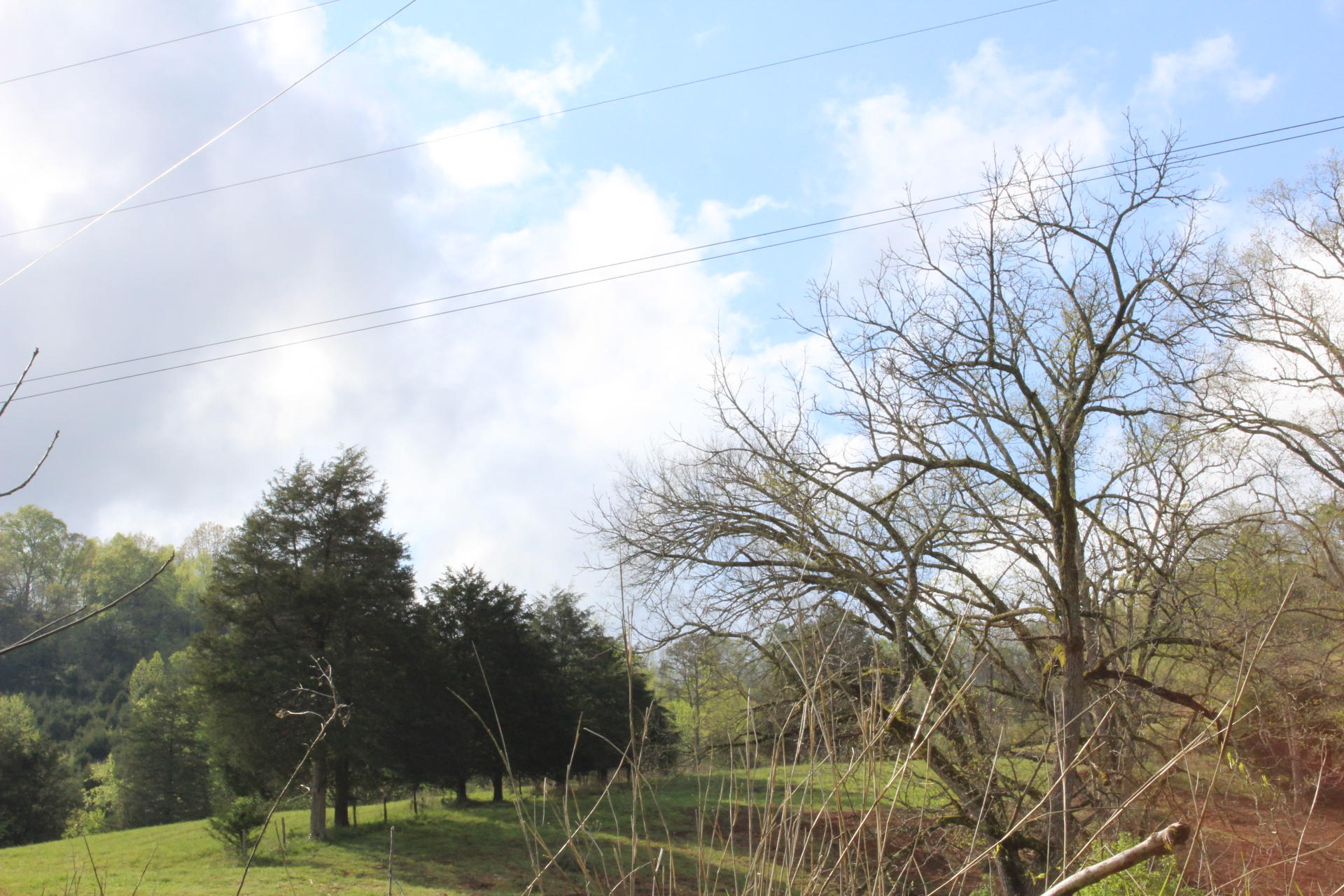 268 Gulley River Road Harrogate, TN 37752 - Photo 20 of 21 IMG_1039