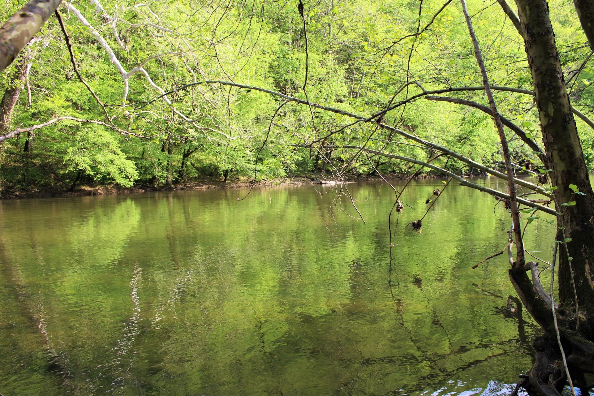 268 Gulley River Road Harrogate, TN 37752 - Photo 21 of 21 Powell River