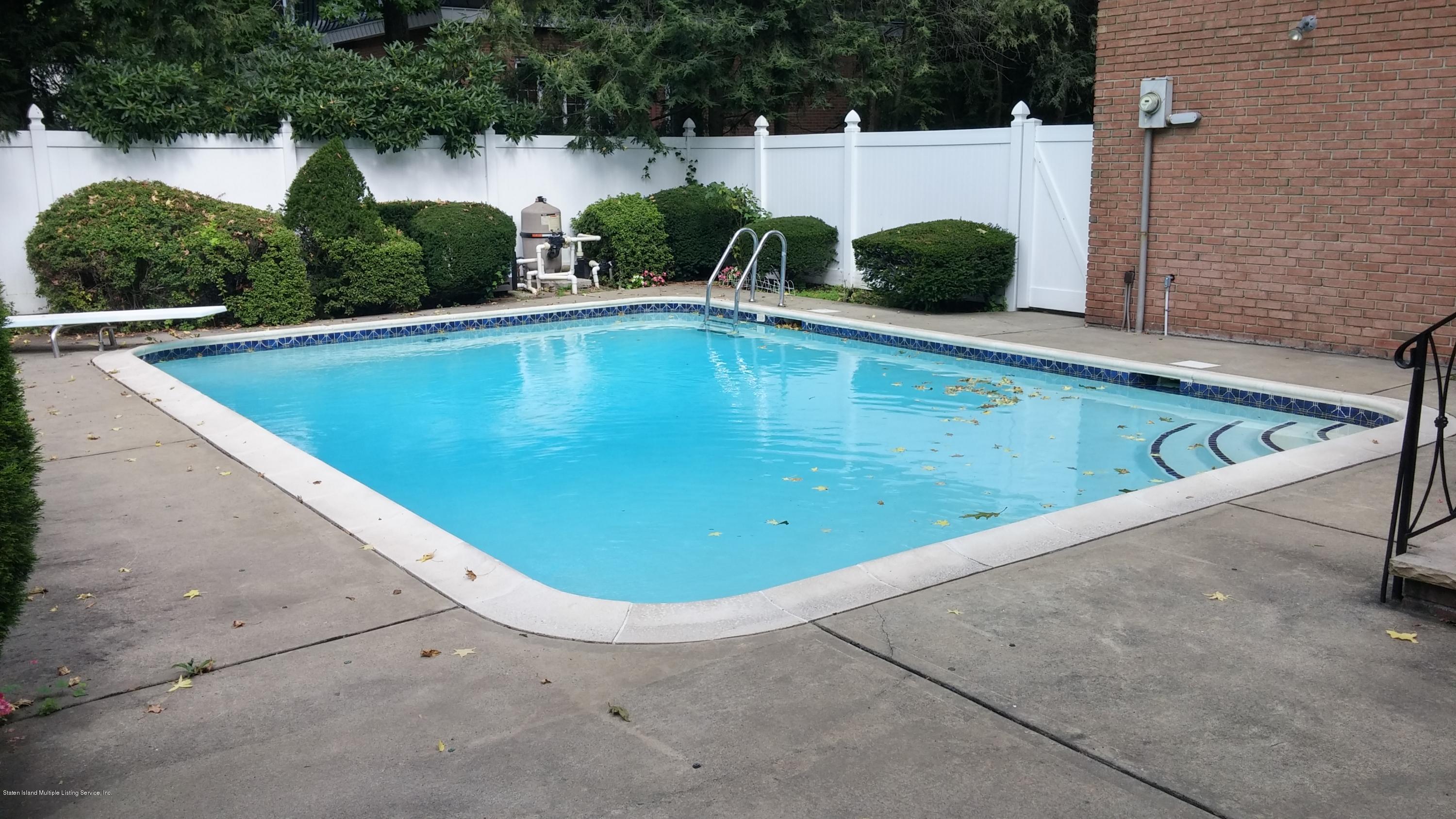 25 Benedict Road Staten Island, NY 10304 - Photo 33 of 33 25 benedict pool new