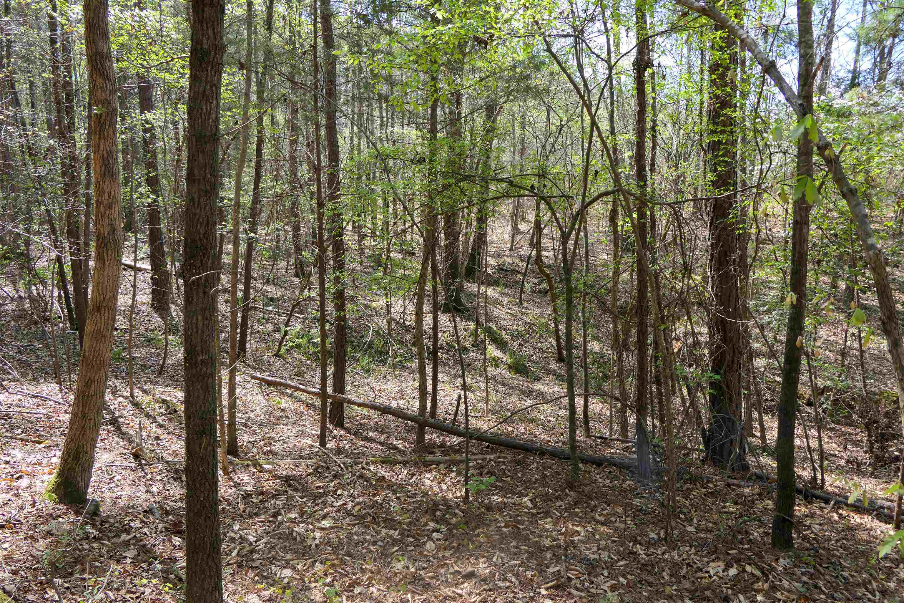 730 Browning Road Enoree, SC 29335 - Photo 5 of 25