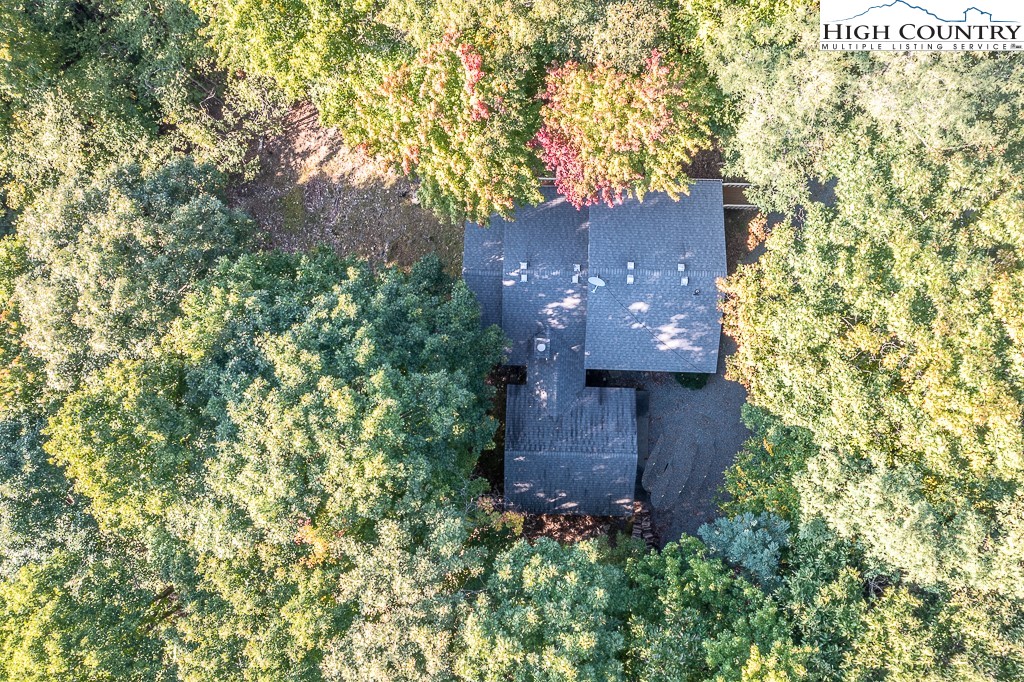 501 Pine Ridge Road Beech Mountain, NC 28604 - Photo 30 of 35
