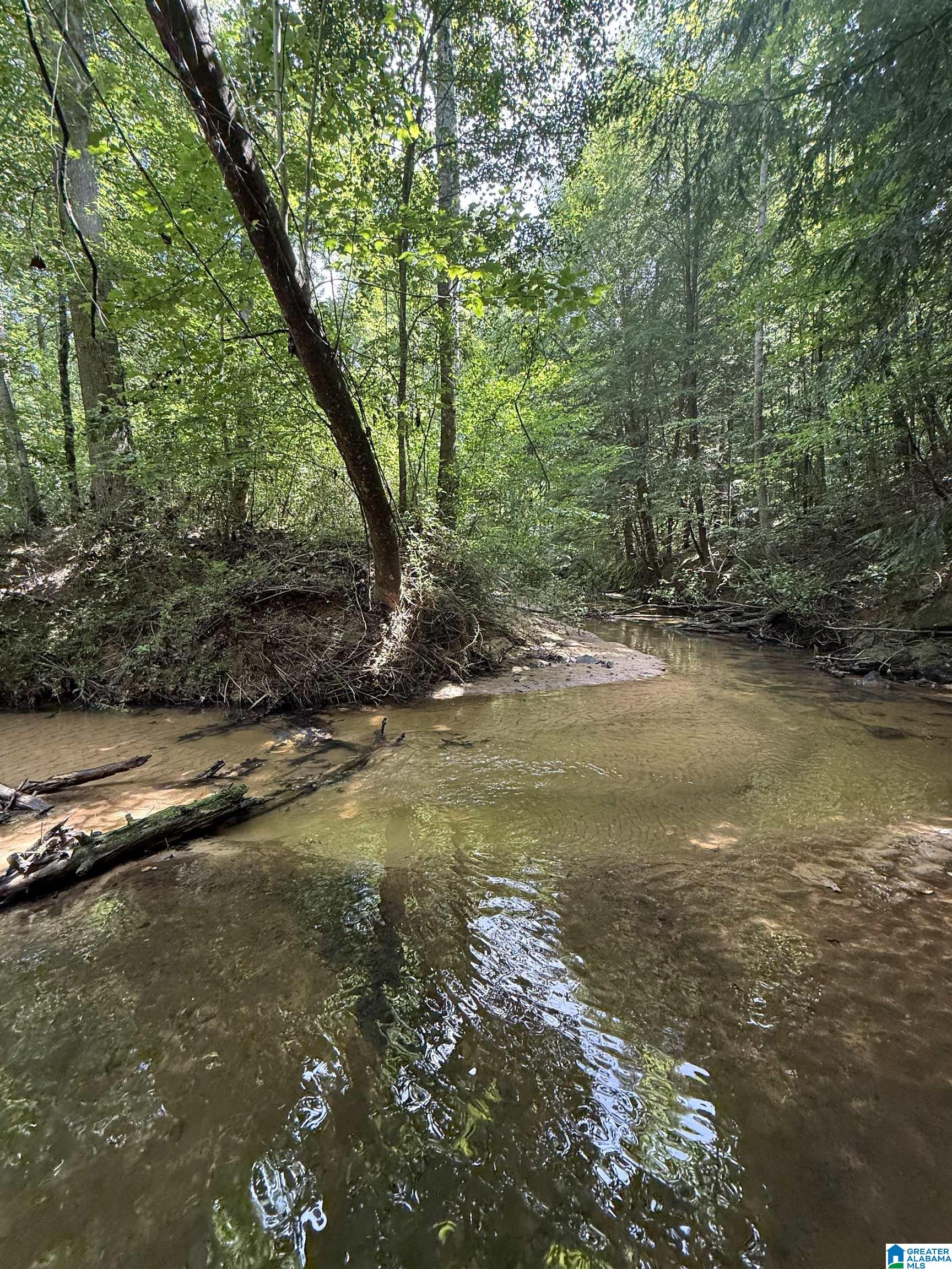 2 County Road 2, Unit 50 / ACRES Double Springs, AL 35553 - Photo 39 of 79