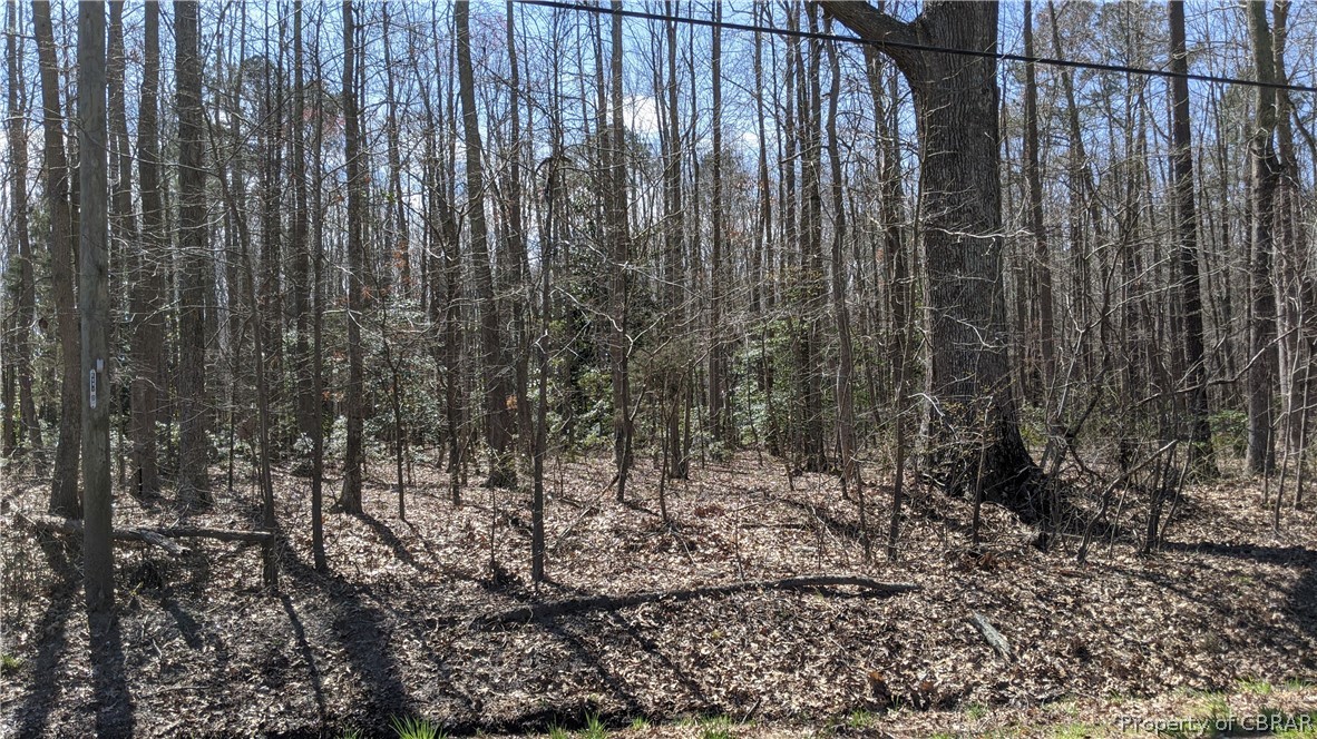 Lot 95 Robins Neck Road North, VA 23128 - Photo 3 of 4