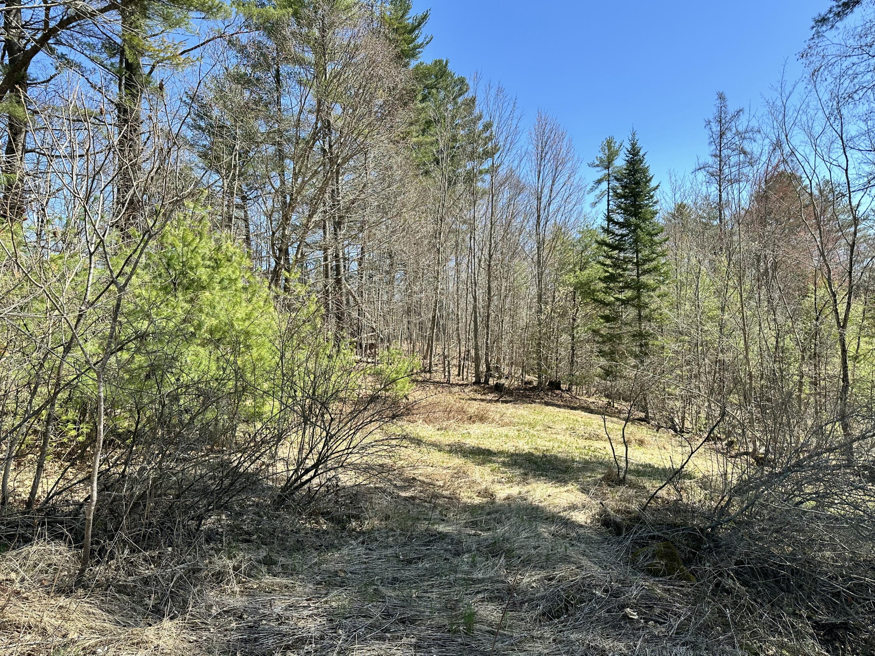 56 School Street New Portland, ME 04961 - Photo 5 of 8 IMG_0573