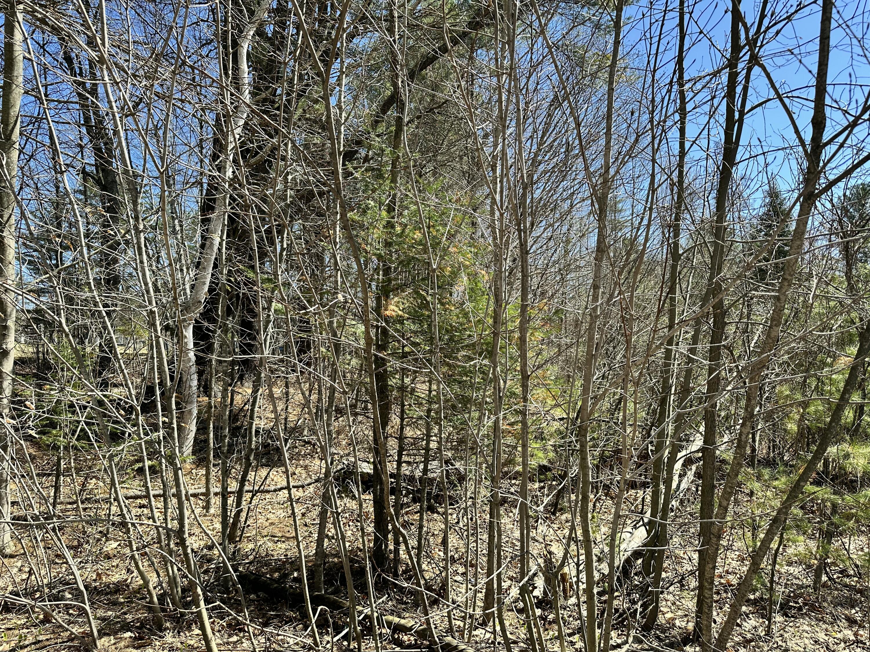 56 School Street New Portland, ME 04961 - Photo 7 of 8 IMG_0571