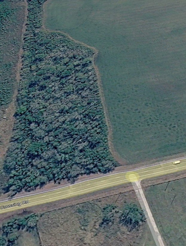 0 Fm 442 Road Boling, TX 77420 - Photo 2 of 2 Gallery Image 2